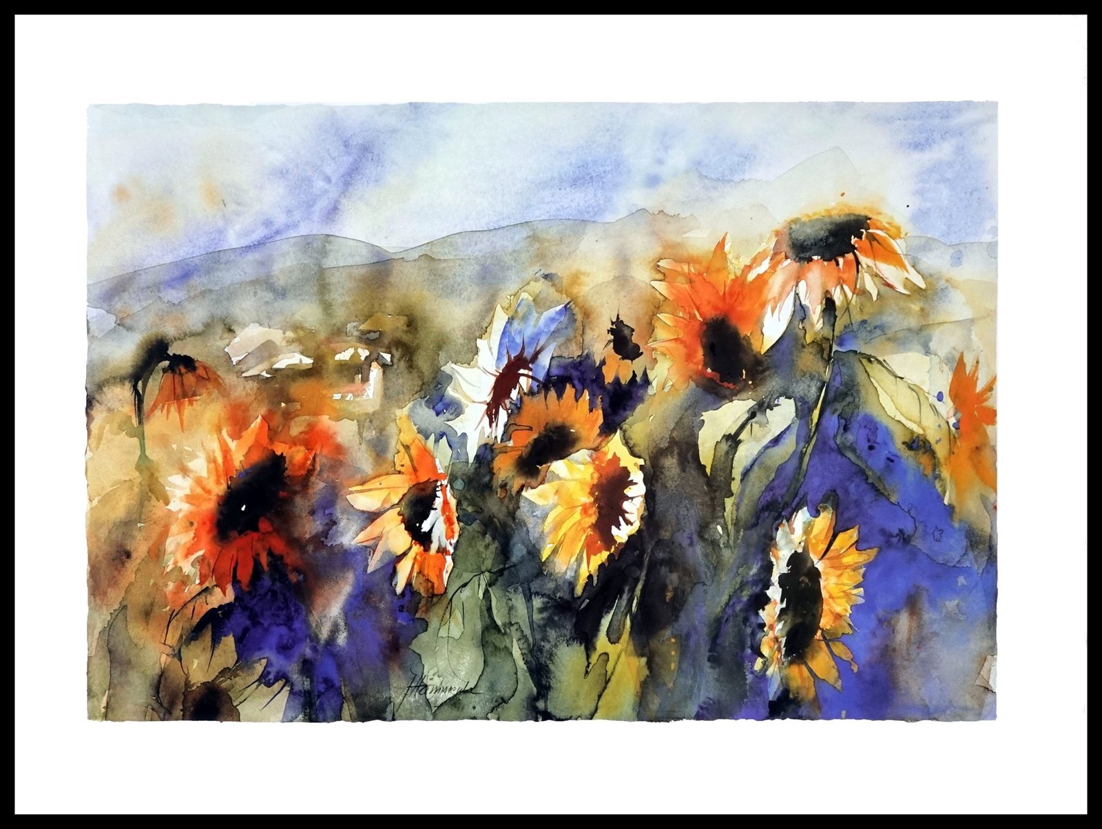 VER 61792 Sunflower Field